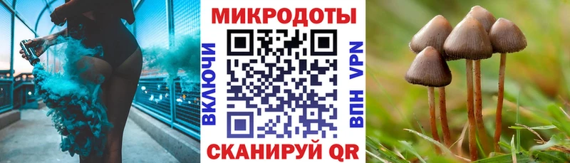 Купить  Десногорск  Псилоцибиновые грибы Cubensis 